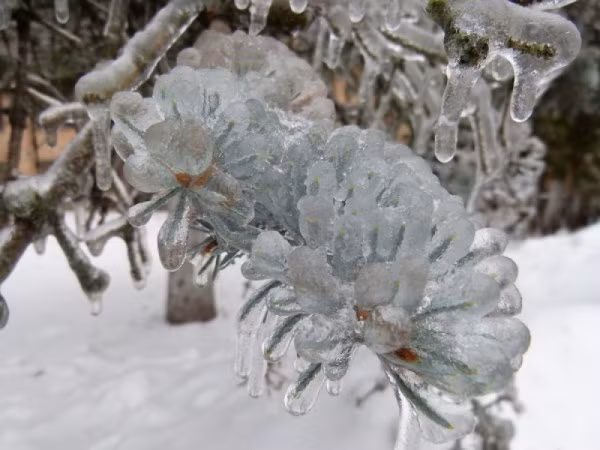 "Đóng băng" cái đẹp ảnh 4
