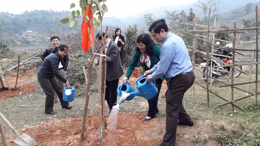Tại lễ khai xuân, lãnh đạo tỉnh Điện Biên đã tham gia trồng cây đầu năm