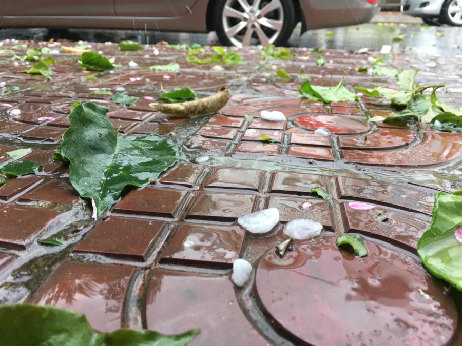 TT dự báo Khí tượng Thuỷ văn Lai Châu khuyến cáo nhân dân không ra khỏi nhà, không trú mưa ở những gốc cây to tránh nguy cơ sét đánh.