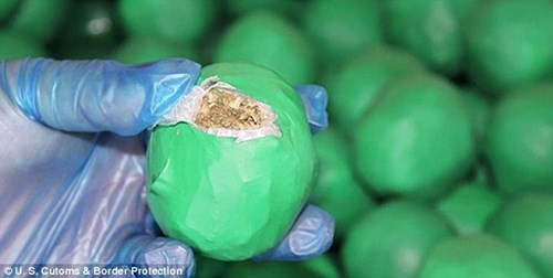 Ngụy trang 2 tấn cần sa thành... chanh để buôn xuyên quốc gia ảnh 2