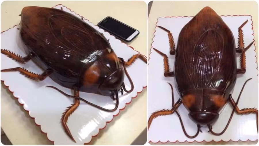 sau khi bo mu coi, khai bong dep trai hon boi phan hinh anh 6