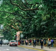 Đường Hải Phòng ở bán đảo Cửu Long, Hong Kong. Ảnh: Nguyên Chi.