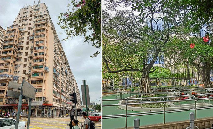 3 con đường mang tên thành phố Việt giữa Hong Kong - 2