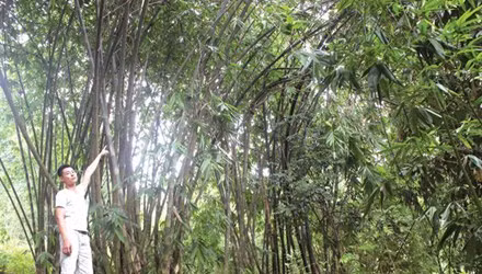 Chàng trai người Mông và tình yêu vô bờ bến với cò