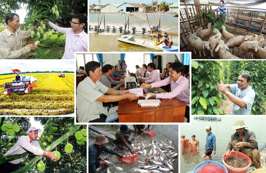 Nhờ những chính sách an sinh xã hội của Đảng, Nhà nước và Chính phủ mà nhiều hộ nông dân nghèo, vùng đồng bào dân tộc thiểu số đã dần thoát nghèo và vươn lên Nhờ những chính sách an sinh xã hội của Đảng, Nhà nước và Chính phủ mà nhiều hộ nông dân nghèo, vùng đồng bào dân tộc thiểu số đã dần thoát nghèo và vươn lên