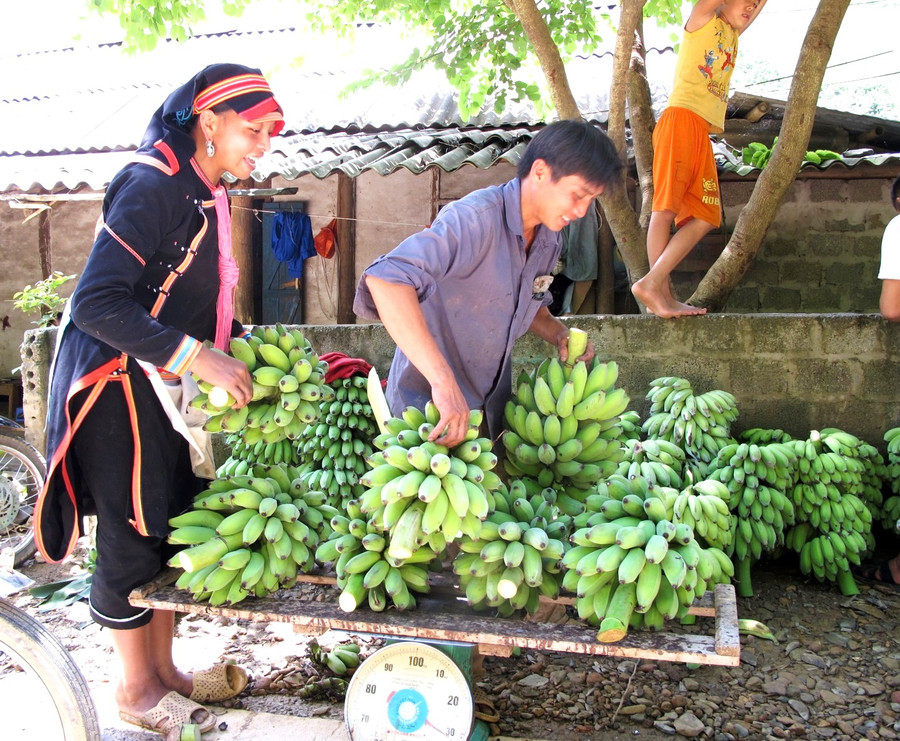 Hệ thống NHCSXH là một trong những kênh chủ lực phục vụ hỗ trợ cho người nghèo vay vốn để phát triển sản xuất và thoát nghèo bền vững