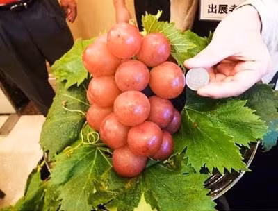 Những loại quả đắt tiền màu đỏ mà nhà giàu thường mua dịp Tết cho may mắn-3