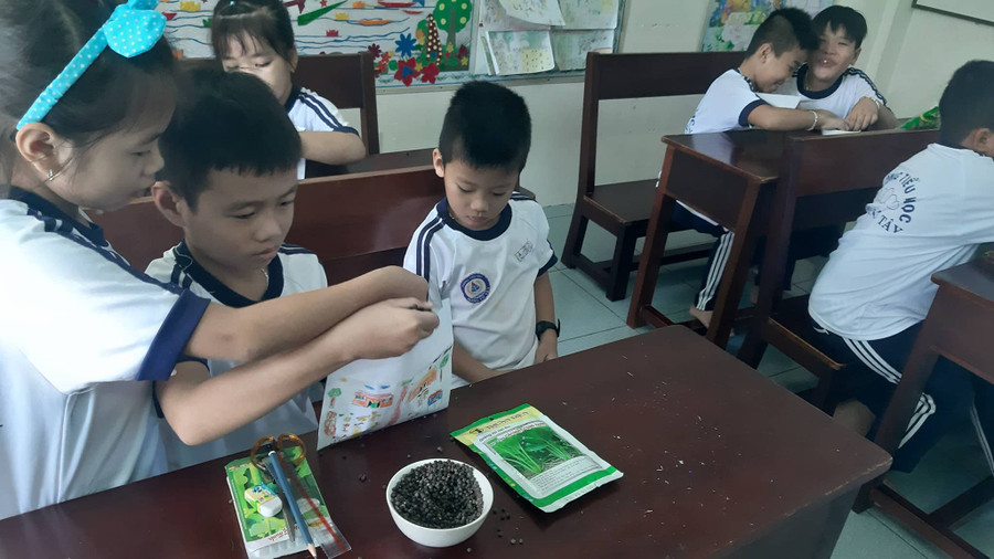 Các em học sinh trường TH Song Tử Tây bỏ hạt giống vào phong bao lì xì.