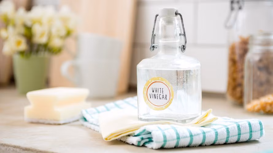 8 công dụng ‘thần kỳ’ của giấm trắng trong bếp