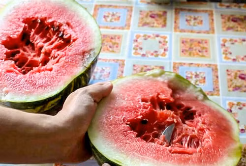 5 đặc điểm của dưa hấu bạn đừng bao giờ mua - 5