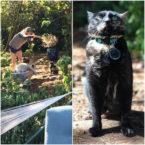 Tỏa sáng như một siêu sao. Tỏa sáng như một siêu sao.