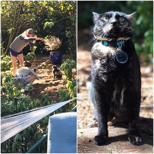 Tỏa sáng như một siêu sao.