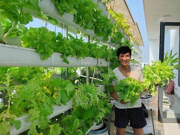 Trái ngọt sai trĩu trên sân thượng biệt thự nhà Lý Hải - Minh Hà - Ảnh 1. Trái ngọt sai trĩu trên sân thượng biệt thự nhà Lý Hải - Minh Hà - Ảnh 1.