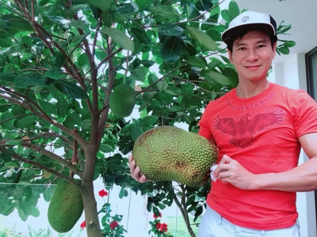 Trái ngọt sai trĩu trên sân thượng biệt thự nhà Lý Hải - Minh Hà - Ảnh 6. Trái ngọt sai trĩu trên sân thượng biệt thự nhà Lý Hải - Minh Hà - Ảnh 6.