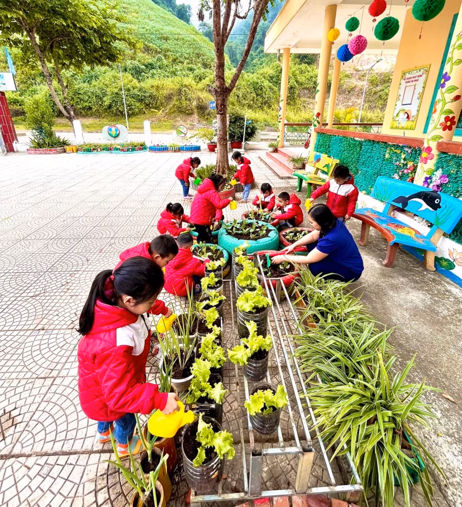 Cô trò nhà trường chăm sóc vườn rau.