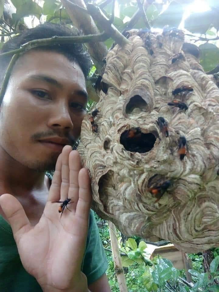 Dự đoán cái kết đi Dự đoán cái kết đi