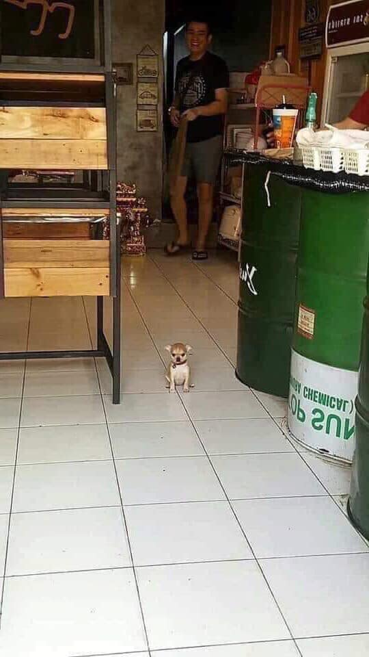 Cẩn thận nhà có chó dữ Cẩn thận nhà có chó dữ