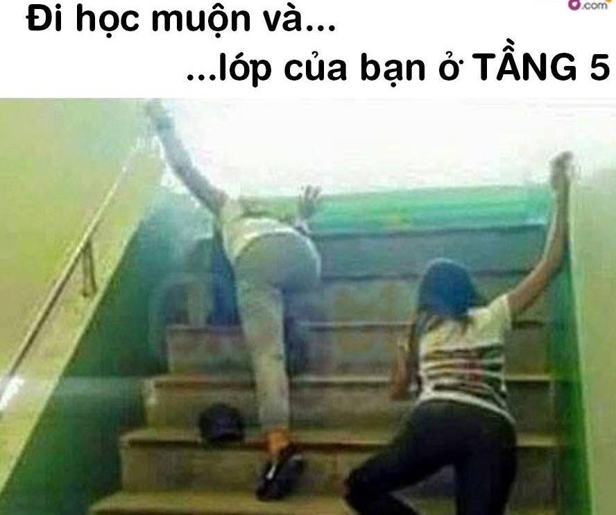 Sáng nay lại đi muộn rồi...