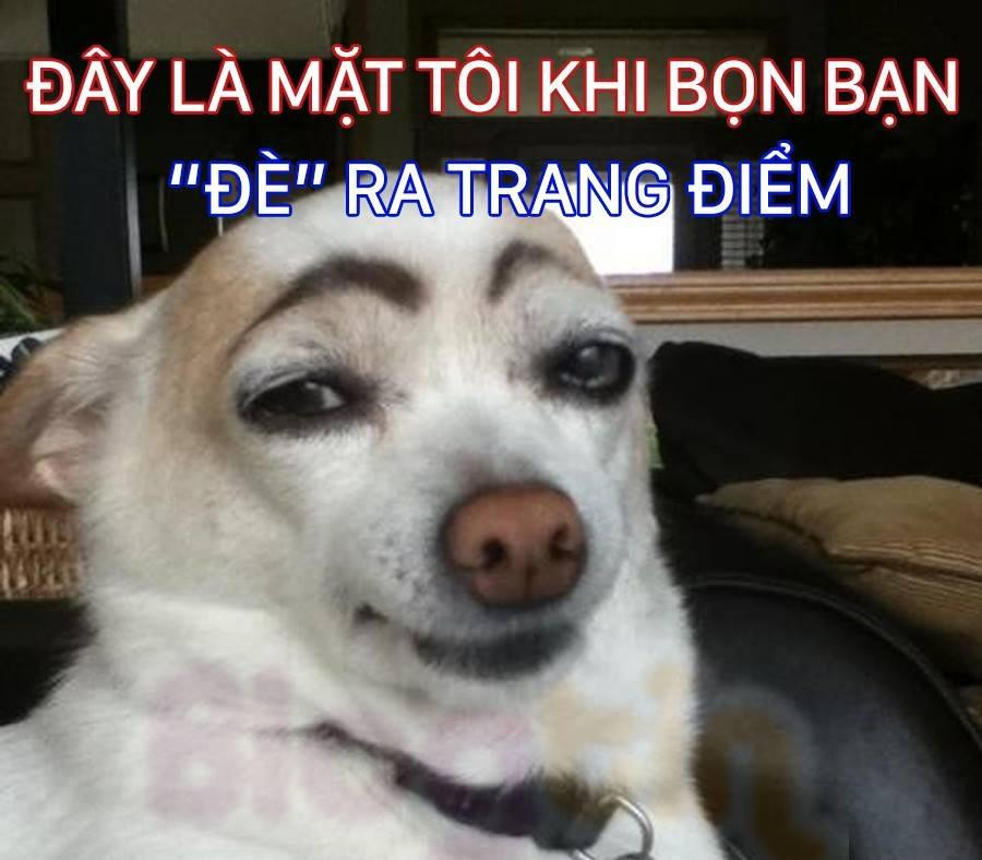 Tuyệt đối đừng tin những gì chúng nó nói về tài trang điểm của mình.