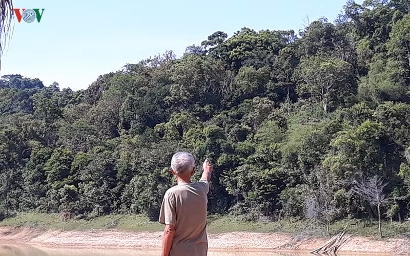 hàng trăm hộ dân ở thanh hóa "mắc lầy trên cạn" ở vườn quốc gia bến en hình 3 hang tram ho dan o thanh hoa "mac lay tren can" o vuon quoc gia ben en hinh 3