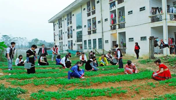 Phú Thọ gắn mô hình trường học với thực tiễn của địa phương