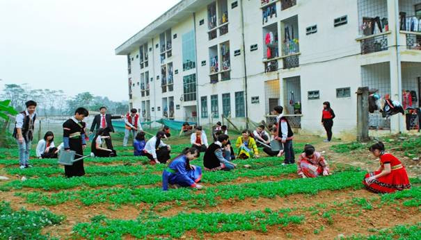 Mô hình trường học gắn với vườn rau sạch tại Trường PTDTNT tỉnh Phú Thọ Mô hình trường học gắn với vườn rau sạch tại Trường PTDTNT tỉnh Phú Thọ