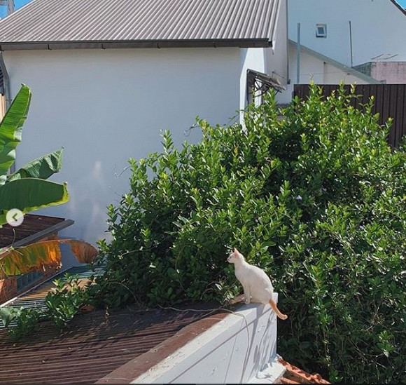 Tăng Thanh Hà đi du lịch Đà Lạt 1 Tăng Thanh Hà, Tăng Thanh Hà du lịch, cuộc sống Tăng Thanh Hà, Tăng Thanh Hà đi đà lạt