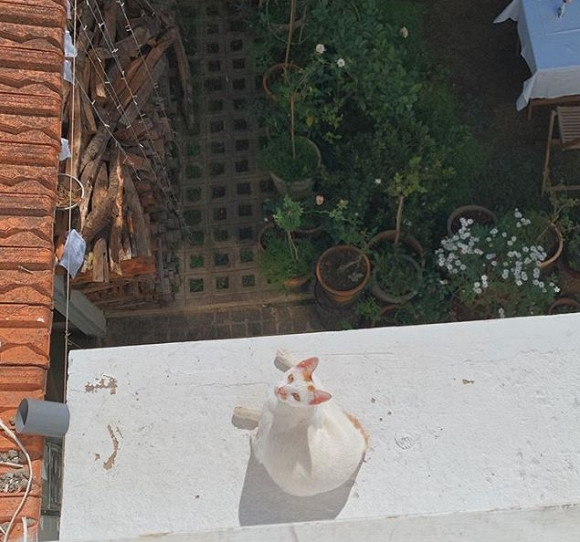 Tăng Thanh Hà đi du lịch Đà Lạt 11 Tăng Thanh Hà, Tăng Thanh Hà du lịch, cuộc sống Tăng Thanh Hà, Tăng Thanh Hà đi đà lạt