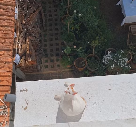 Tăng Thanh Hà, Tăng Thanh Hà du lịch, cuộc sống Tăng Thanh Hà, Tăng Thanh Hà đi đà lạt 