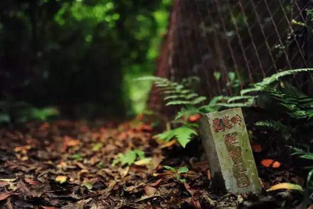 Bí ẩn về những bức tượng tồn tại suốt 800 năm khiến người Trung Quốc phải kính sợ ảnh 1 bi an ve nhung buc tuong ton tai suot 800 nam khien nguoi trung quoc phai kinh so - 1