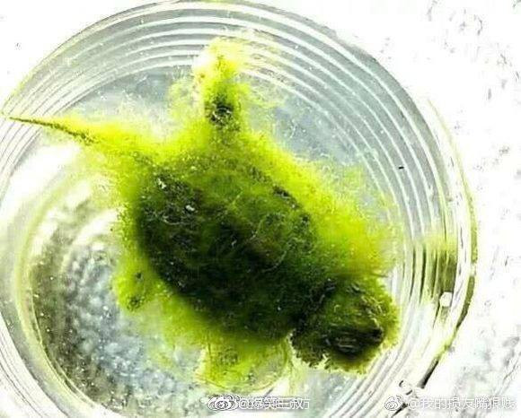 64222661_2386358724943799_4554696093081796608_n 64222661_2386358724943799_4554696093081796608_n