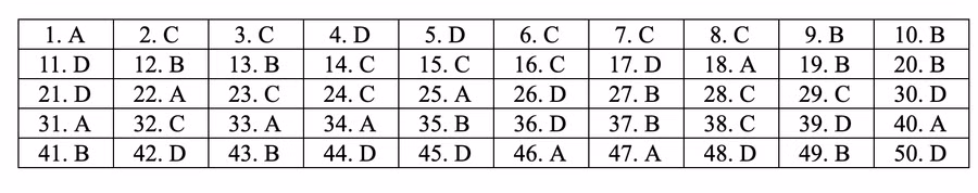 Đáp án tham khảo môn Toán thi THPT quốc gia 2019 tất cả mã đề