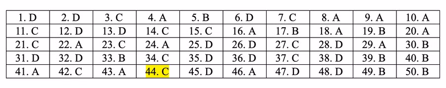 Đáp án tham khảo môn Toán thi THPT quốc gia 2019 tất cả mã đề