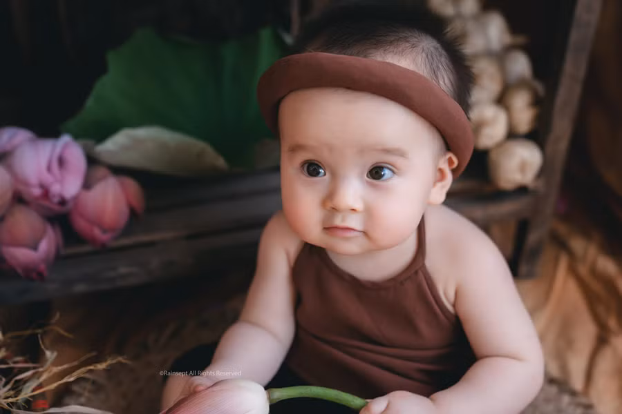 Bộ ảnh em bé bên hoa sen 
