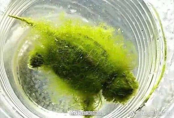 64299196_2386358731610465_9209894639933325312_n 64299196_2386358731610465_9209894639933325312_n