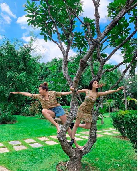 Screen Shot 2019-06-23 at 4