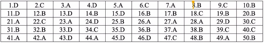* Lời giải môn tiếng Anh mã đề 407