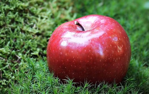 Thích ăn táo nhất định phải nắm rõ cách ăn tốt nhất để tăng gấp đôi công dụng