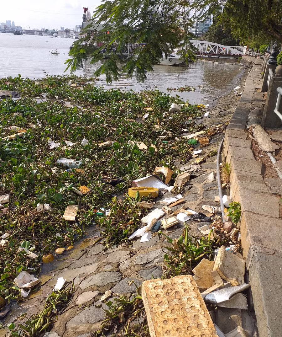 Cảnh rác thải và lục bình tấn công sông Sài Gòn