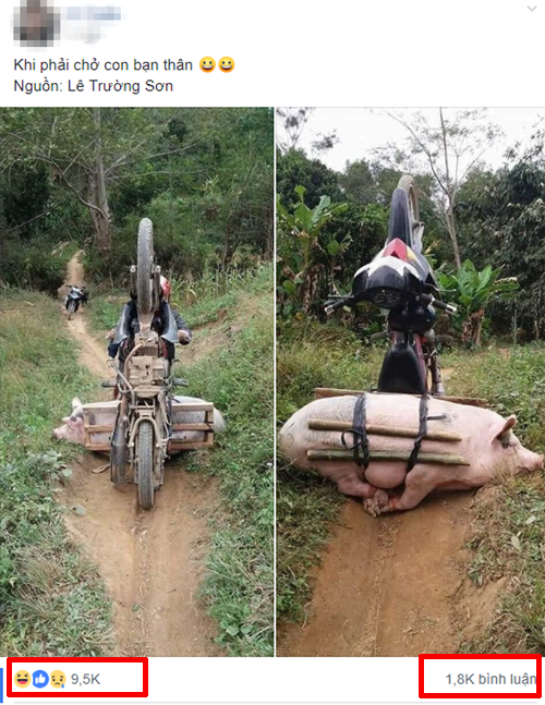 Bức ảnh nhận được sự quan tâm của mọi người bởi sự so sánh hài hước và dí dỏm.