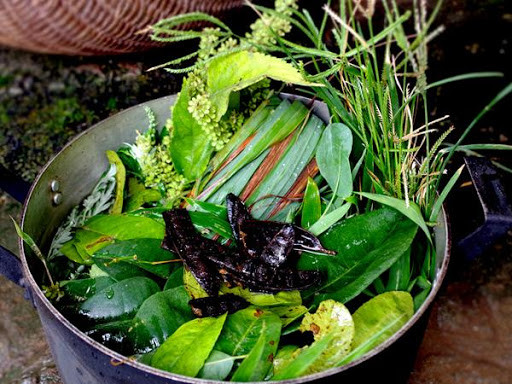 Nhiều người làm sạch nhà bằng nước đun từ các loại lá thơm. Nhiều người làm sạch nhà bằng nước đun từ các loại lá thơm.