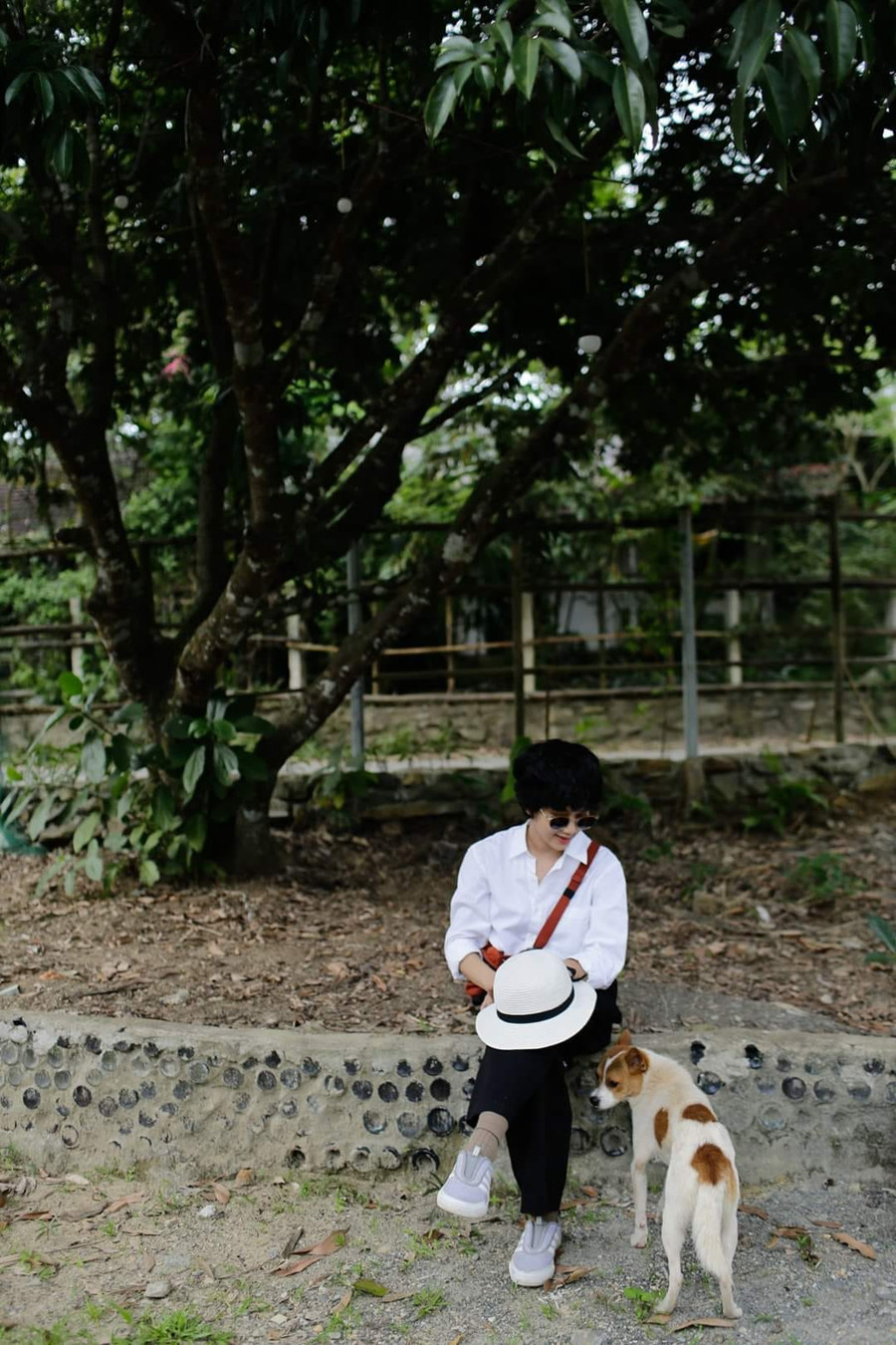 Nhiều người hâm mộ mong ngóng 2 album digital của Lê Cát Trọng Lý. Ảnh: Lê Cát Phương Nam.