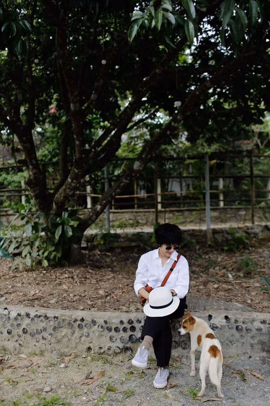 Nhiều người hâm mộ mong ngóng 2 album digital của Lê Cát Trọng Lý. Ảnh: Lê Cát Phương Nam.