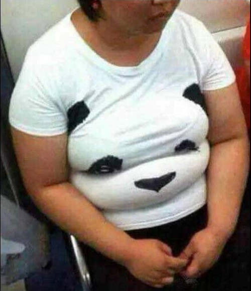 Gấu trúc mũm mĩm.