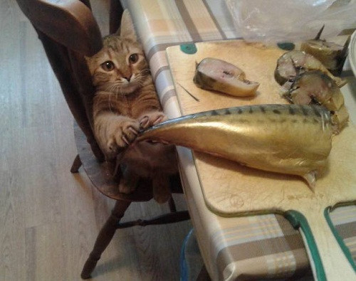 Miếng ăn là miếng tồi tàn.