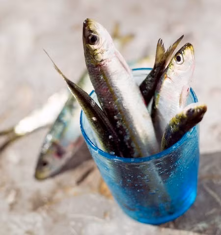 Bổ sung DHA cho bé đúng cách ảnh 1