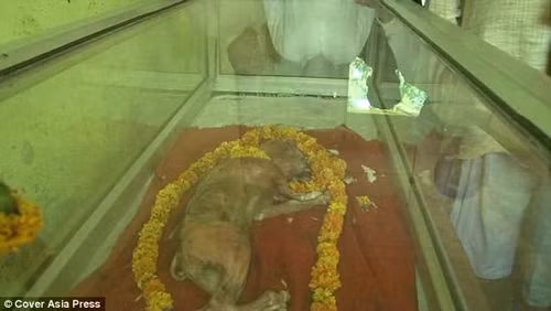 ky la be con chao doi voi guong mat giong nguoi gay xon xao du luan - 3