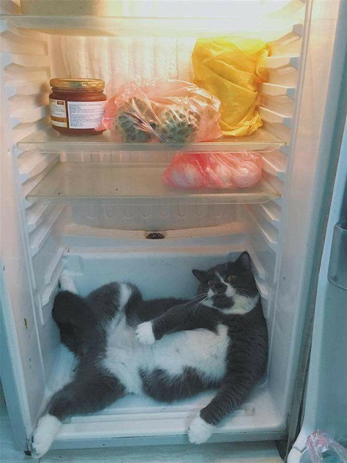 Địa điểm chống nóng tuyệt vời. 