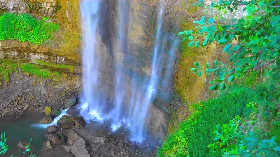 Mơ màng giữa trời thu