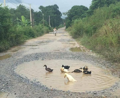 10-anh-hai-hot-nhat-facebook-trong-ngay-7